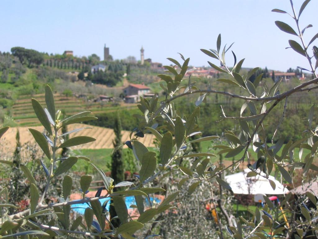 מלון וינצ'י Il Casolare Di Leonardo מראה חיצוני תמונה